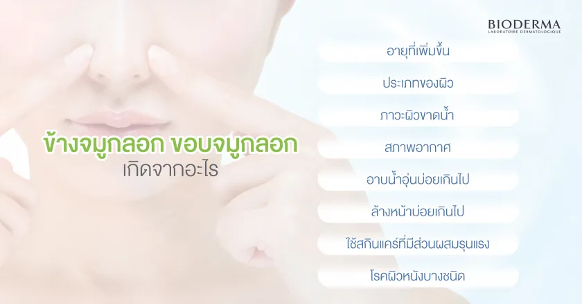 ข้างจมูกลอก ขอบจมูกลอก เกิดจากอะไร