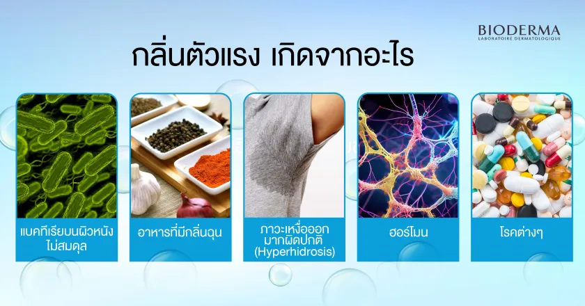 กลิ่นตัวแรง เกิดจากอะไร