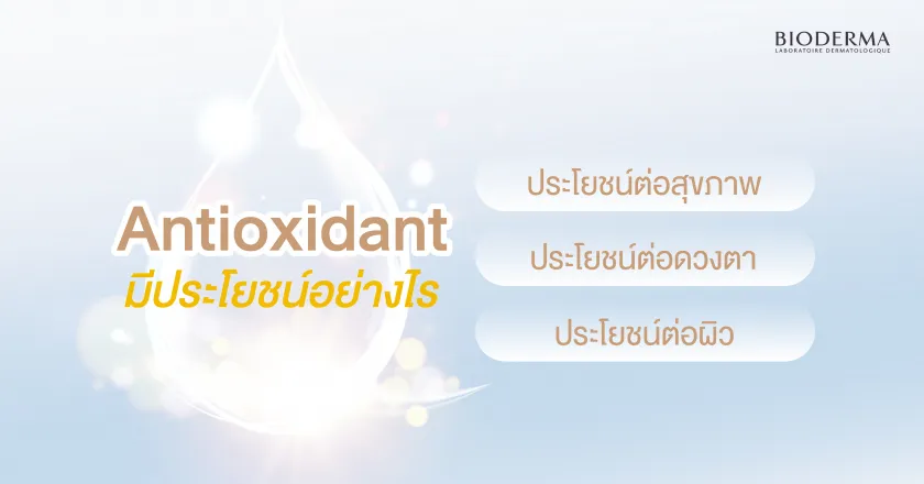 Antioxidant มีประโยชน์อย่างไร